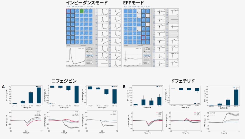 iPSC Derived Cardiomyocytes