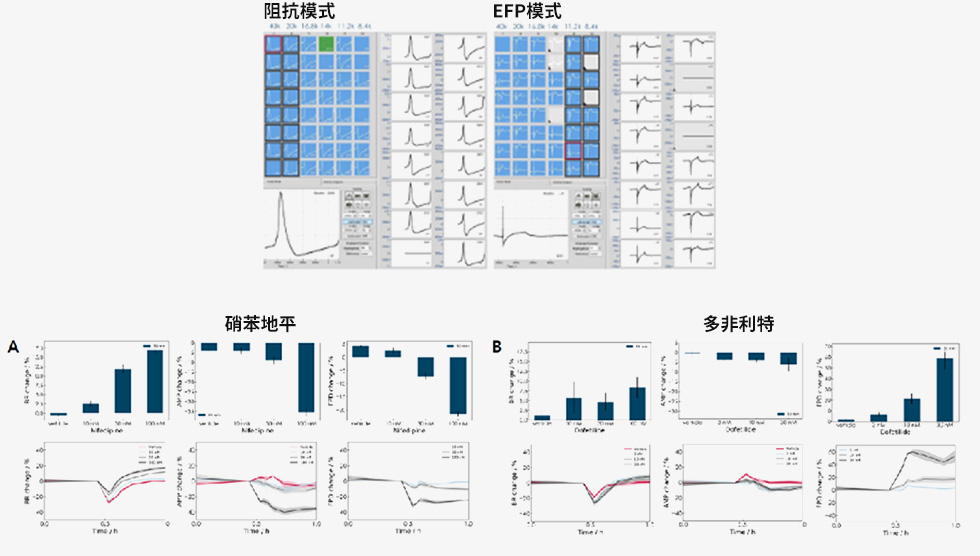 iPSC Derived Cardiomyocytes
